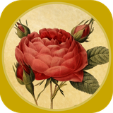 ir.tinasoft.tales_steady.tarikh_beihaghi