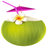 mehza2000.mehza200019