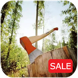 com.SoftGamesInc.DaysSurvivalForest