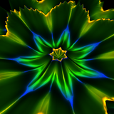 com.blogspot.andmonahov.dancingshapesfree