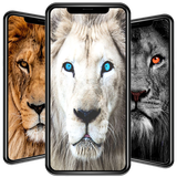 com.nicehdapps.lion.wallpaper.HD