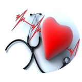 ir.arzanikamran.zanan