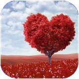 kalale.jomelatkotahasheghane