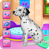 air.net.chicworld.dalmatianpuppydaycare