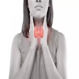 com.htmlApi24novinsoft99.teoed