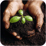 eshgh.alodegiyemohitezist