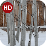 ir.hmh.PeaceLiveWallpaper_35_free