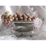 ir.tazenate.vije.aghd.va.arose