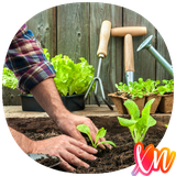 com.Vegetable.Gardening.Planting.Recipes.Tips