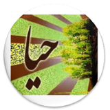 ir.projectt.haya_info