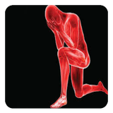 com.andromo.dev565055.app878704