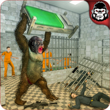 com.enigmagamingstudio.madgorillaprisonescapejailbreakout