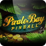 com.gmail.godrar.PirateBayPinball