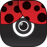 com.appinaweek.cameradictgp