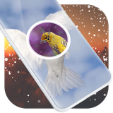 paris.birds.clock.lwp