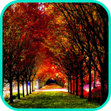 com.app3dwallpaperhd.autumnwallpaper