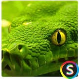 com.Sadroid.Photomar