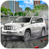 com.opelrca.luxuryprado.drift.xracing