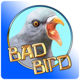 com.cybereye.badbirdrev