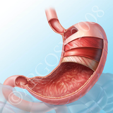 com.mahtab.mededarmani