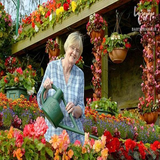 ir.kasb.daramad.az.golkhane.d