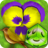 com.VioletSoftStudio.VioletBoardGame