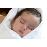 kosh.bekabid.tiksestem