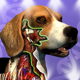 com.hikmetduran.idleanimals