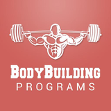 com.bgt.bodybuilding.programs