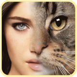 com.knst.facefindedit