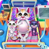 air.com.wowsomesphere.kittiesnewborncaring