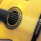 com.HtProduct.guitar_polo