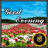 com.mydeveloper.goodeveningflowers