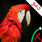 com.example.cleverBirds