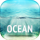 com.david_wallpapers.ocean