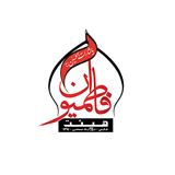 abolfazl.ansari.fatemiyounmamasani