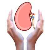 com.aban.app.doctor.kolie