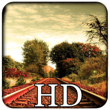 com.w7db2c1f97a09ea285ba453a365d0ba48