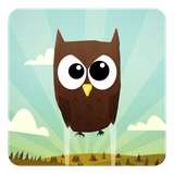 com.girsas.owluprise