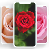 com.rose.pink.flower.fleur.offlinewallpapers