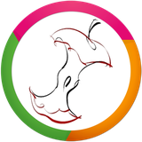 com.zohaltech.app.corevocabulary