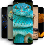 com.sincapp.snakewallpaper