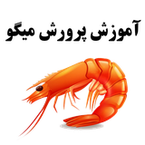 com.magicsoftwaregroup.shrimpfarming