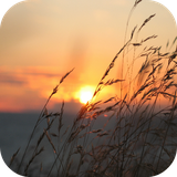 com.leafgreen.sunrise