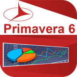 ir.tinasoft.parsian.primavera6