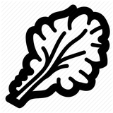 ir.khavas.mojezeasae.sabze