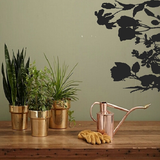 aprenderjardineria.bricolajehuerto.plantasflores