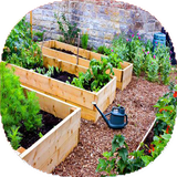 com.mnz_ht.baghchevahayatekhane