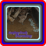 com.layingduckfarming.akiraapp