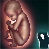 ir.bardare.hafte.be.hafte.d